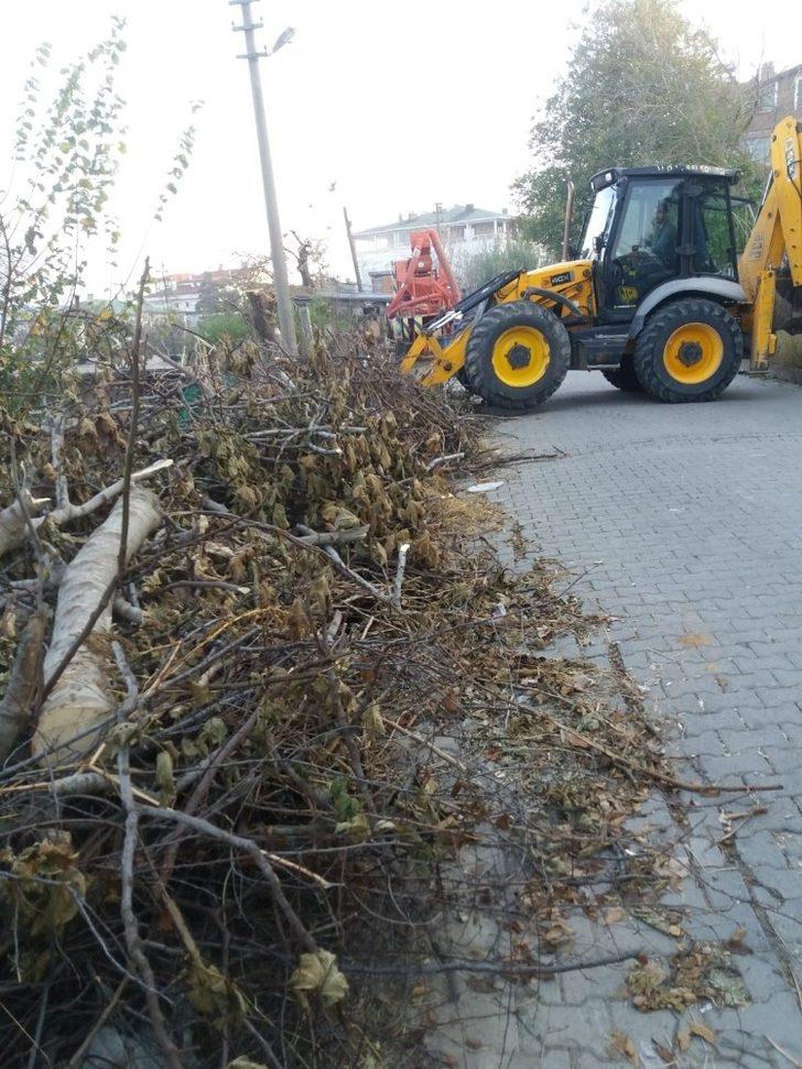 Akçakoca sokakları ve sahilleri temizleniyor G5