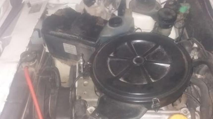 Soğuktan &uuml;ş&uuml;yen yavru kediler aracın motorundan &ccedil;ıktı