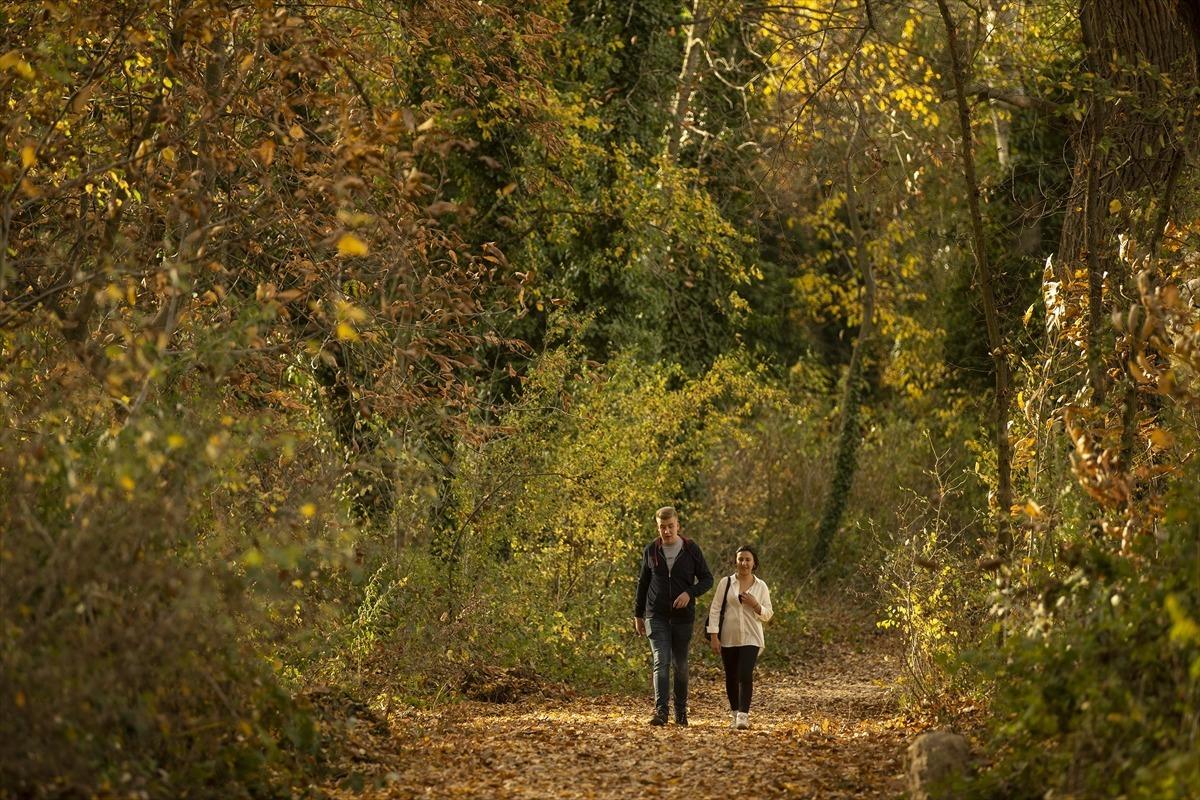 Edirne sonbaharda a&ccedil;ık hava m&uuml;zesi gibi!