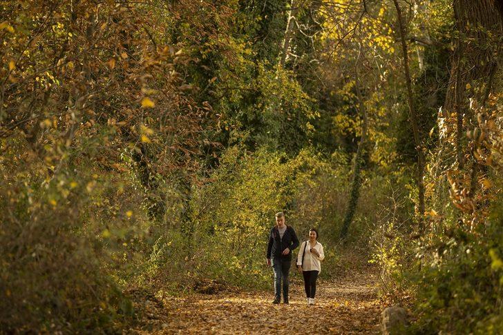 Edirne sonbaharda açık hava müzesi gibi! G4