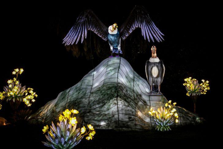 Kolombiya'da göz kamaştıran manzara G1