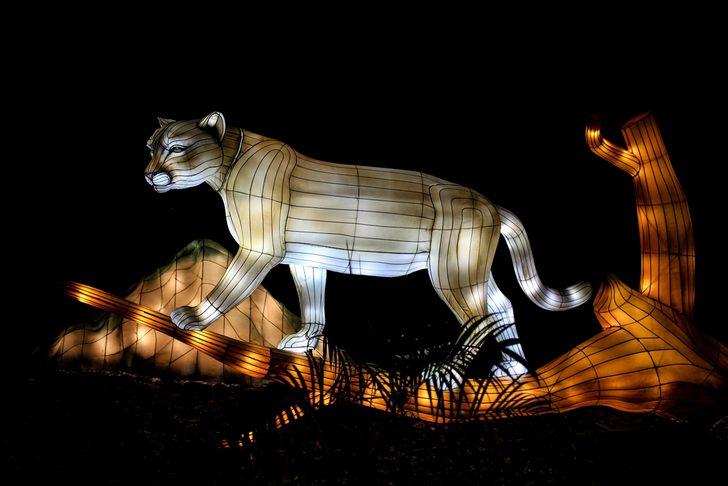 Kolombiya'da göz kamaştıran manzara G2