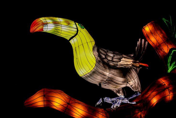 Kolombiya'da göz kamaştıran manzara G3