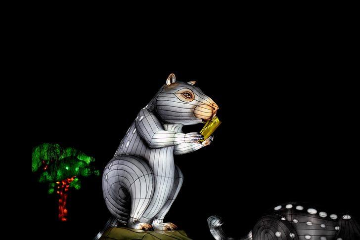 Kolombiya'da göz kamaştıran manzara G4