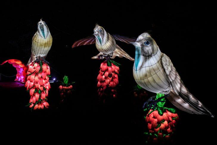 Kolombiya'da göz kamaştıran manzara G5