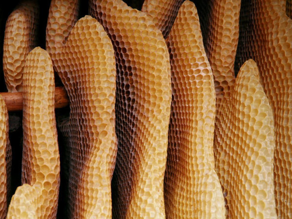 Arı s&uuml;t&uuml; nedir, arı s&uuml;t&uuml; faydaları nelerdir?