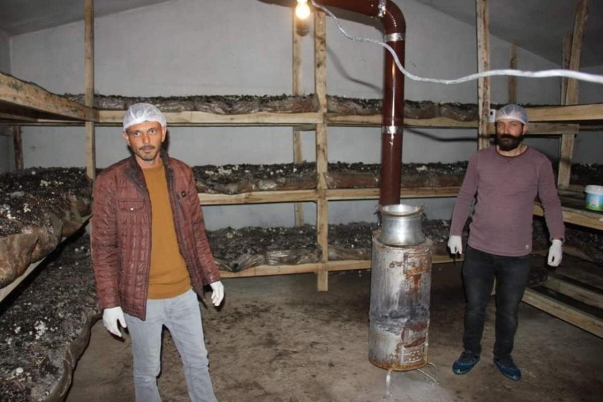 K&ouml;se&rsquo;nin ilk mantar tesisini kurdu, ilk hasatta yarım ton &uuml;r&uuml;n aldı