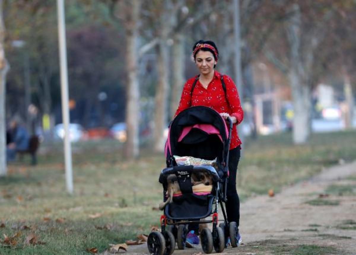 Bebek arabasıyla gezdiriyor sebebini duyanın g&ouml;zleri doluyor!