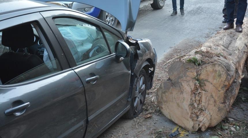 Seyir halindeki otomobile tomruk yuvarlandı