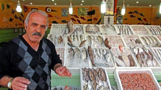 İskenderun Körfezi'nin değerli canlısı 'jumbo karides' 160 liradan satılıyor