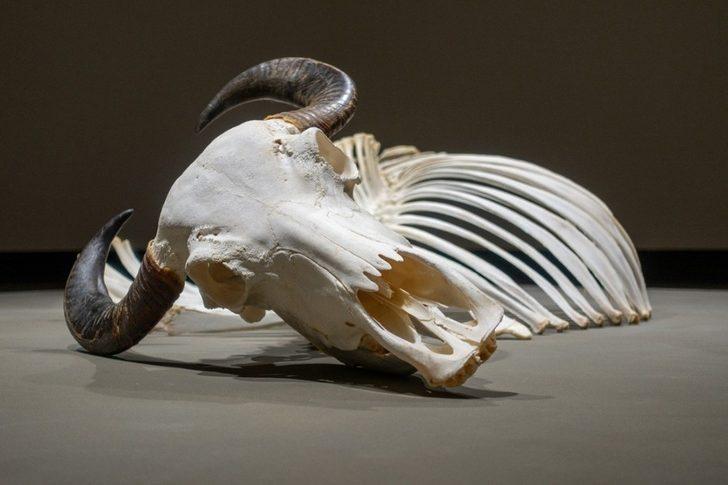 16. İstanbul Bienali’nde Gelibolulu sanatçı G2