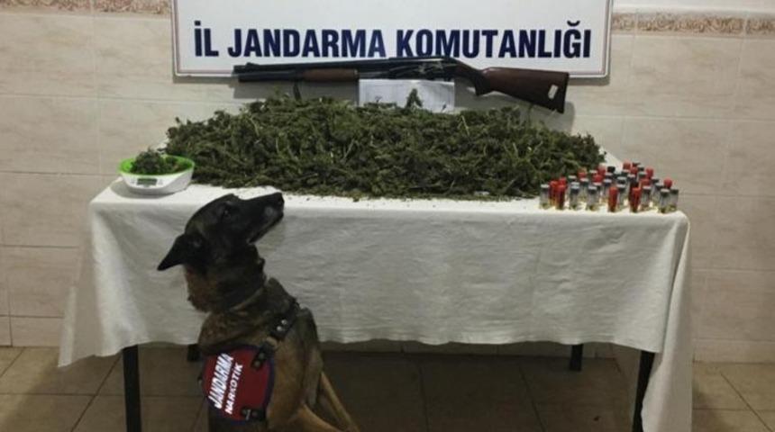 Bandırma&rsquo;da uyuşturucu operasyonu : 4 g&ouml;zaltı