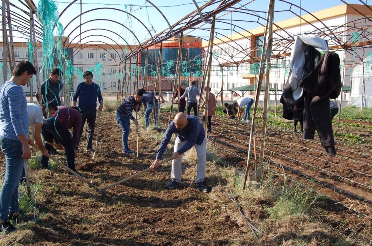 Kumluca&rsquo;da &ouml;ğrenciler kışlık sebze ekimi yaptı
