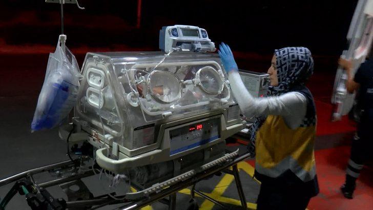 Her yıl yüzlerce 'Leo bebeği' kurtarıyorlar G4