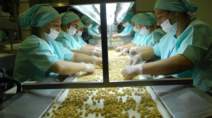 Avrupa’ya on ayda yaklaşık 10 bin 632 ton iç fındık ihraç edildi
