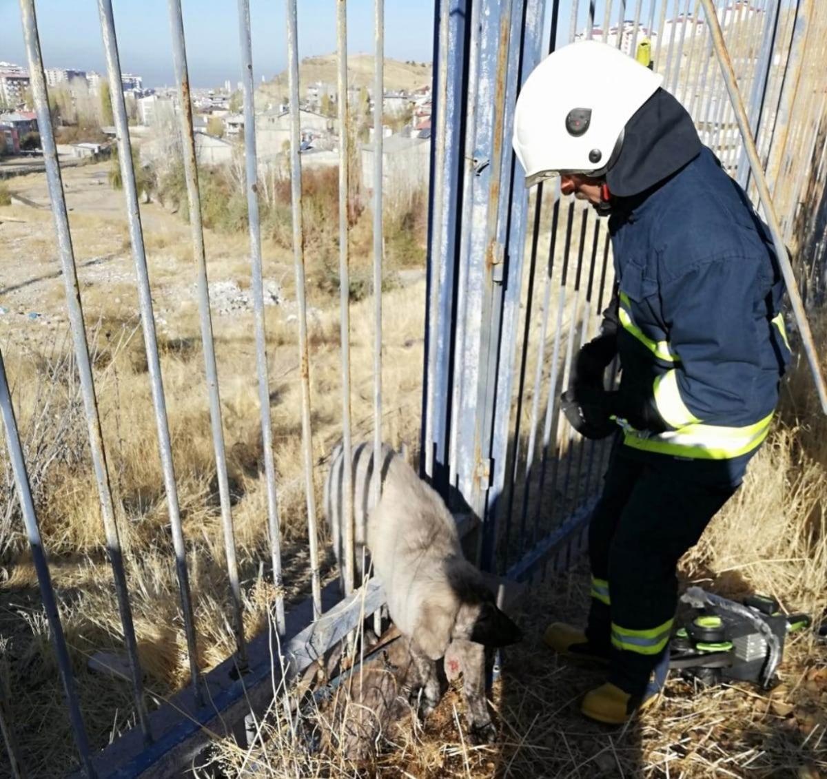 Demir parmaklıklara sıkışan k&ouml;pek kurtarıldı