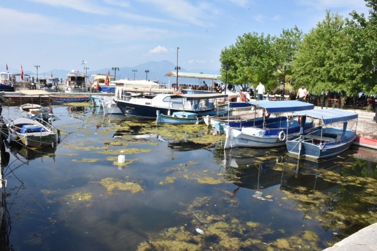 K&ouml;yceğiz G&ouml;l&uuml; ve Dalaman kanalları kirlilikten sos veriyor