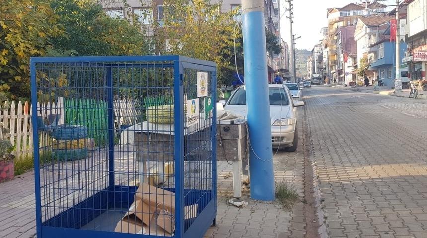 Ala&ccedil;am&rsquo;a geri d&ouml;n&uuml;ş&uuml;m kafesleri