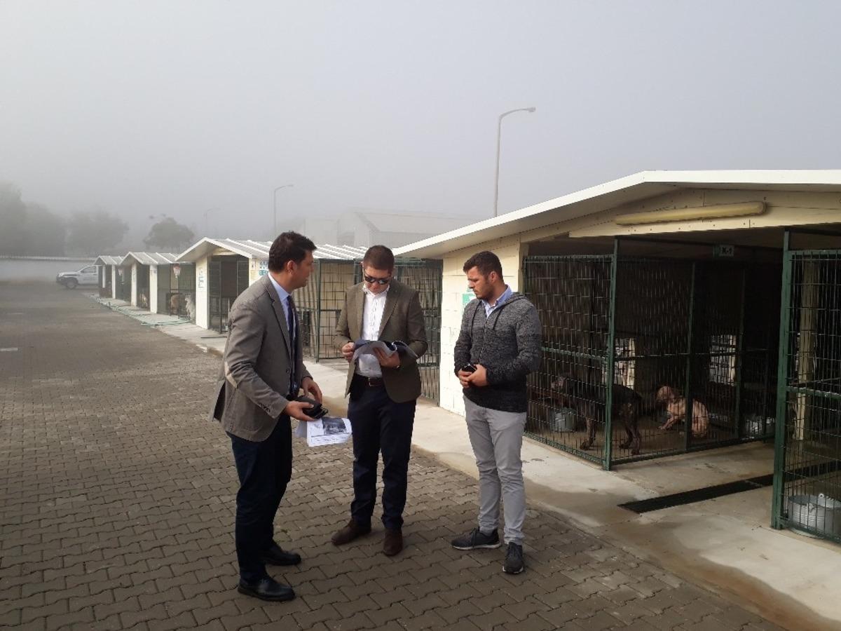 Kış &ouml;ncesi hayvan barınaklarında t&uuml;m tedbirler alınıyor