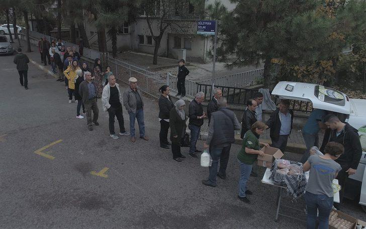‘Jersey’ ırkı 10 inekle üretime başladı! Şimdi insanlar bu sütü alabilmek için sıraya giriyor G3