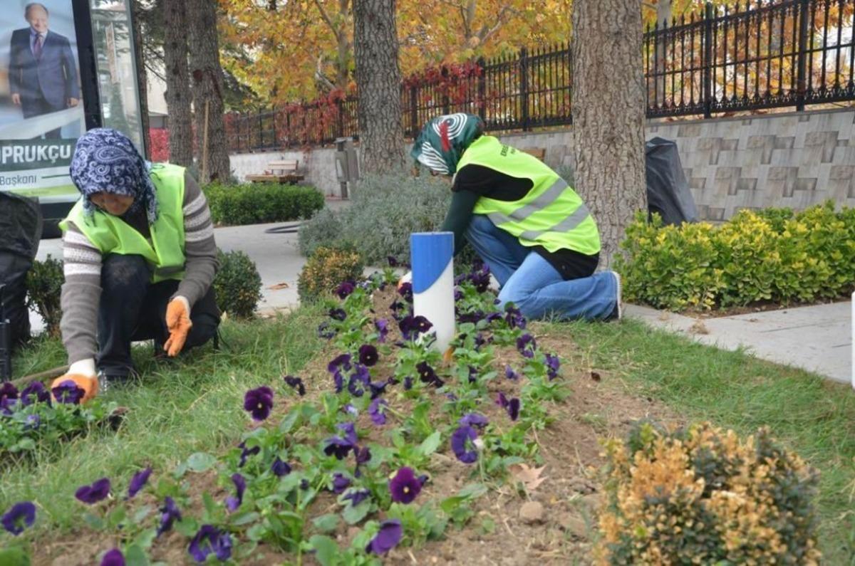 Ereğli 50 bin &ccedil;i&ccedil;ekle s&uuml;sleniyor