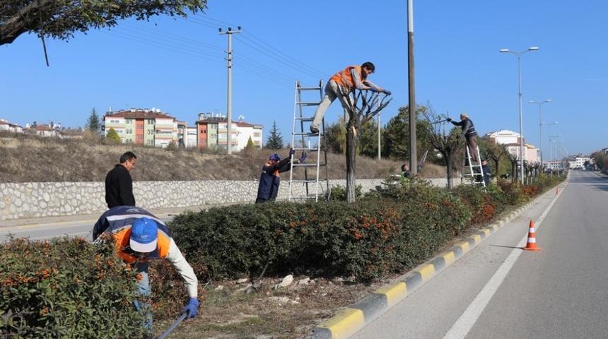 Safranbolu&rsquo;da ağa&ccedil; budama &ccedil;alışması
