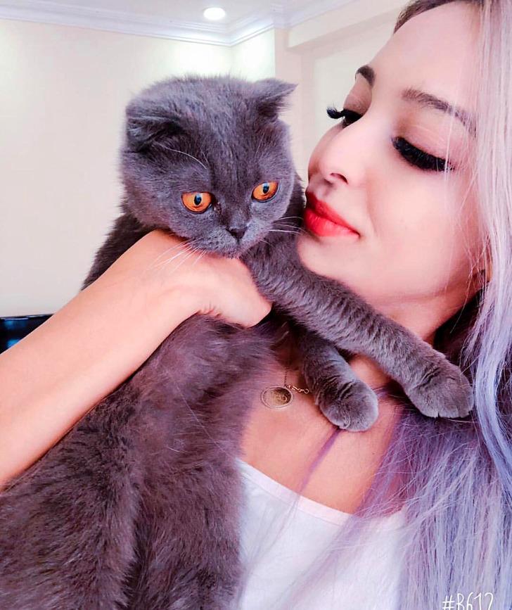 Kedileri vahşice öldürüldü, eski sevgilisi hakkında suç duyurusunda bulundu G5