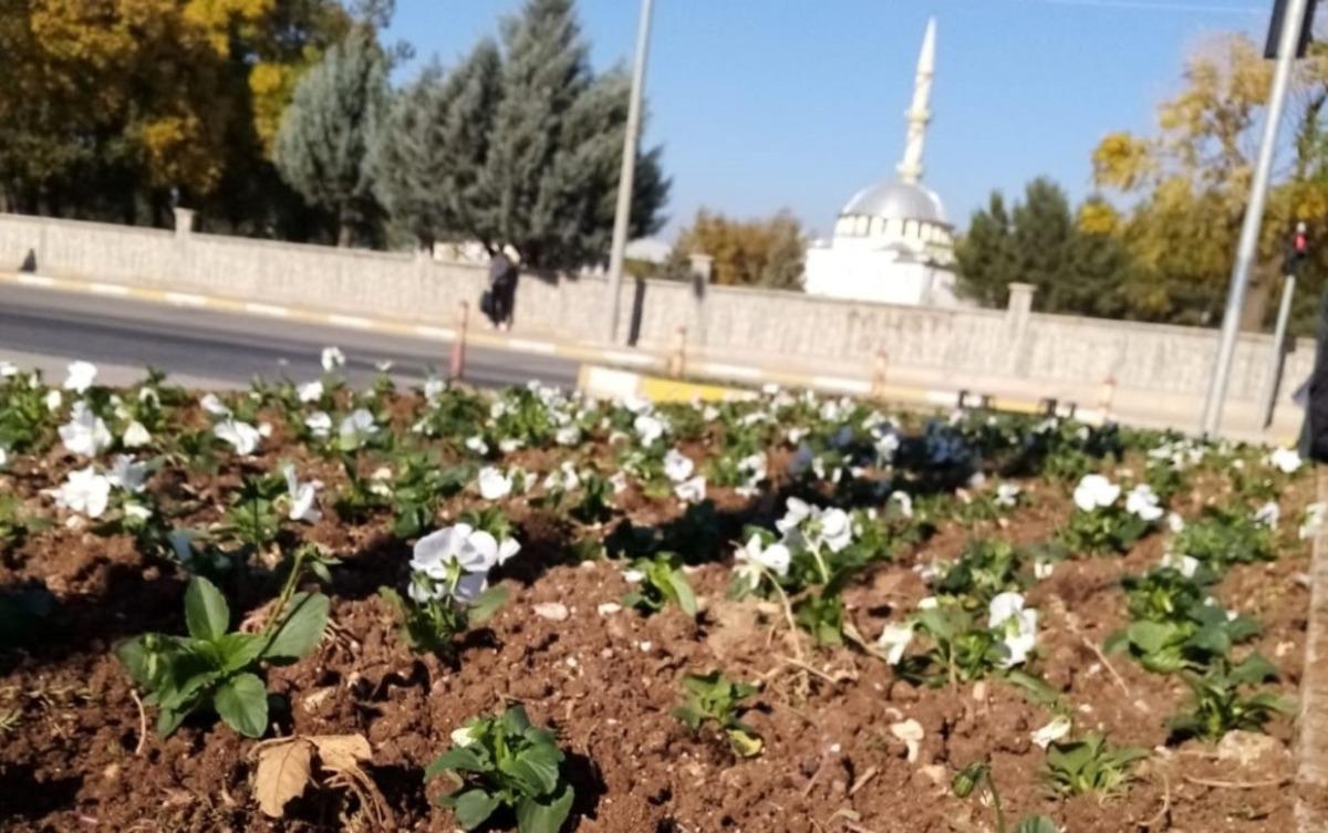 Kavşaklar rengarenk oldu