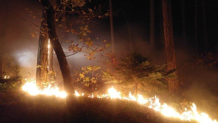 Çanakkale’de korkutan yangın! G5