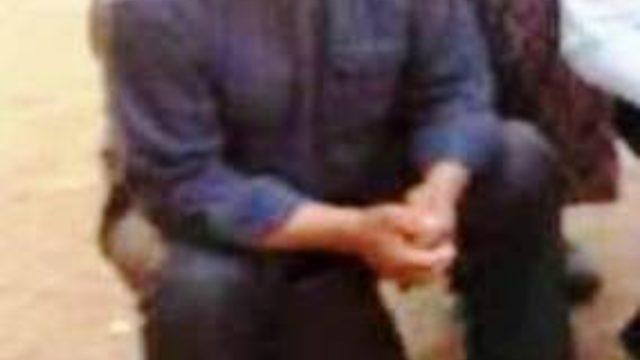 Ağaçtan düşen şahıs hayatını kaybetti