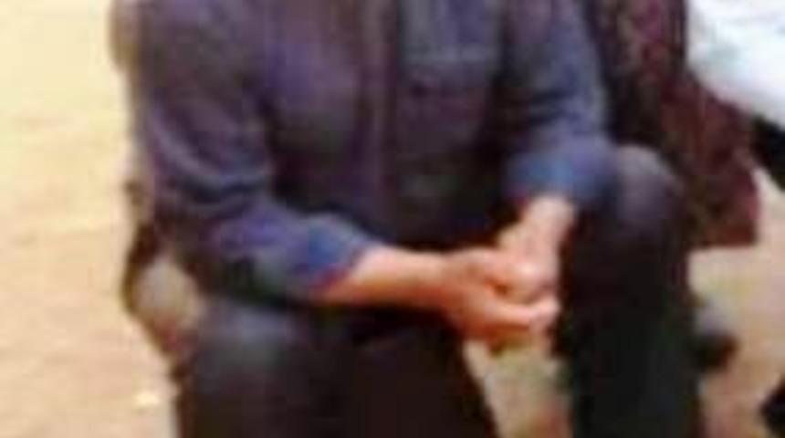 Ağaçtan düşen şahıs hayatını kaybetti