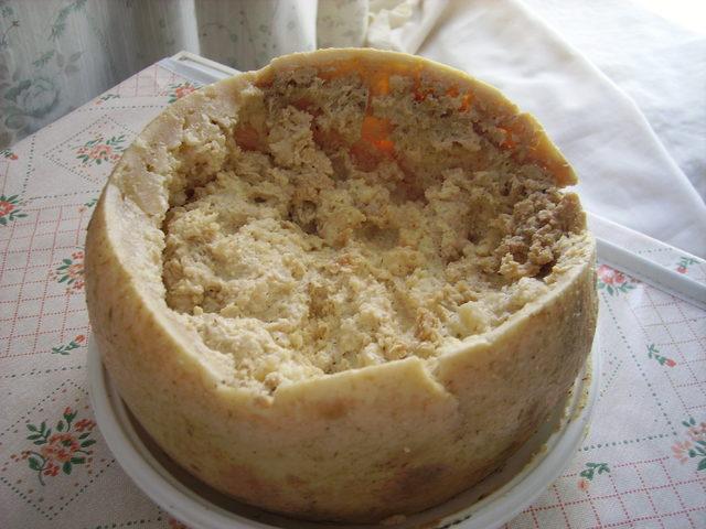 Casu_Marzu_cheese