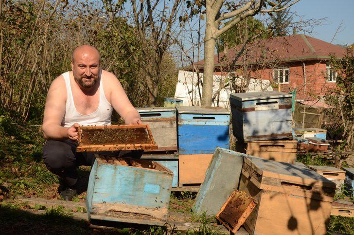 'Arılarım beni tanır' deyip yarı çıplak aralarına girdi G2