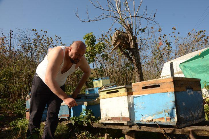 'Arılarım beni tanır' deyip yarı çıplak aralarına girdi G3
