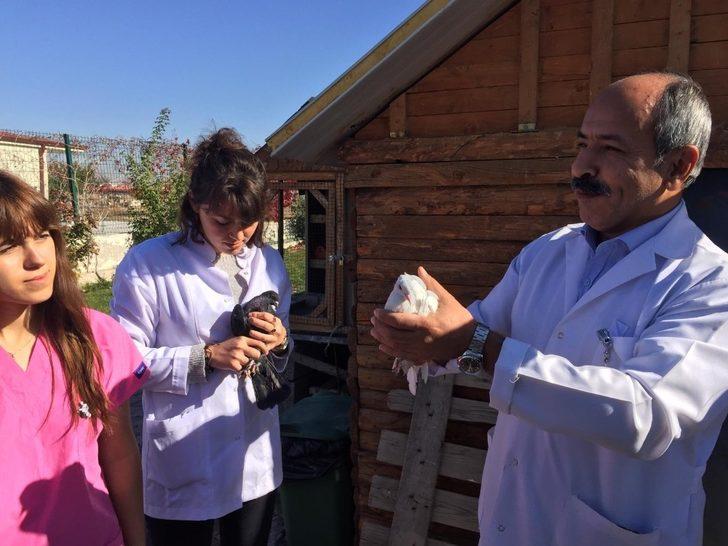 Prof. Dr. Akar: ”İnsanlar doğal yaşamı da görsünler diye Gelengi bahçesini kurduk” G3