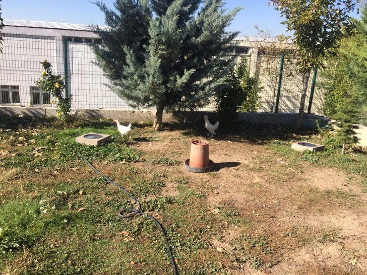 Prof. Dr. Akar: ”İnsanlar doğal yaşamı da görsünler diye Gelengi bahçesini kurduk” G4