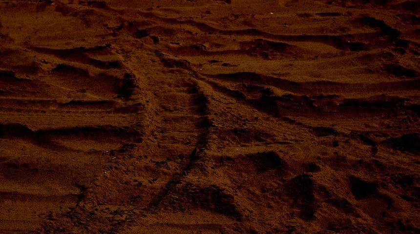 'O fotoğraflar Mars'ta yaşam olduğunun kanıtı'