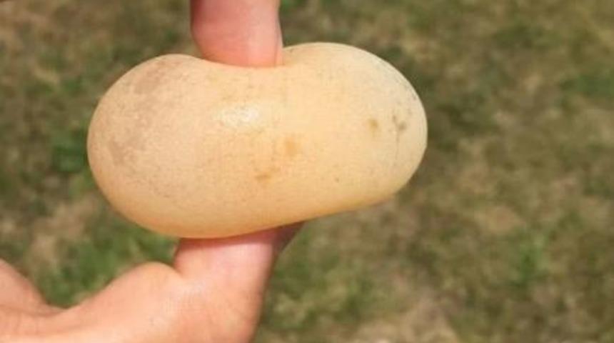 Garanti veriyoruz! Ne olduğunu duyunca ağzınız açık kalacak