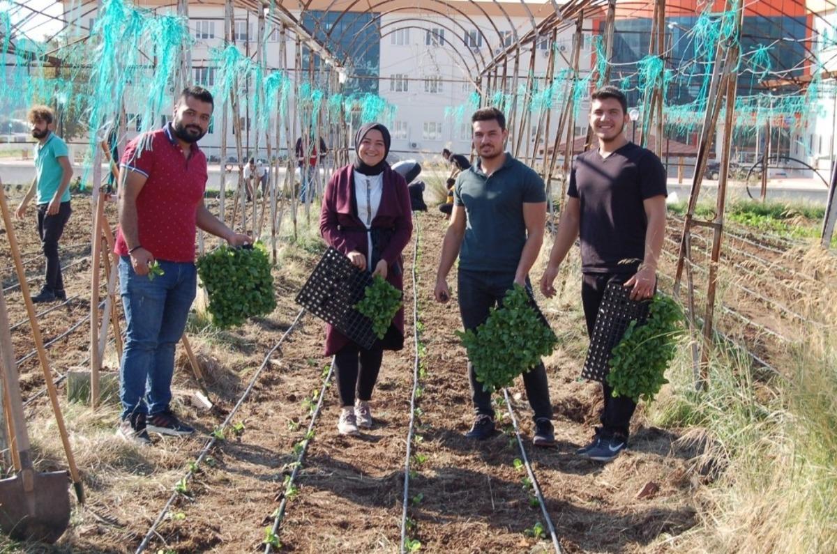 MYO &ouml;ğrencileri uygulamalı kış sebzesi yetiştirme eğitimi yaptı