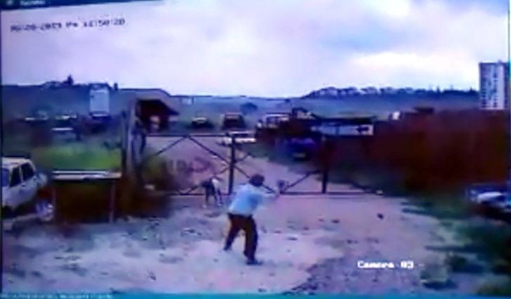 Köpeğin saldırdığı bekçiyi, başka bir köpek kurtardı G4