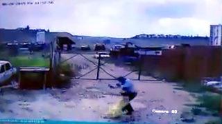 Köpeğin saldırdığı bekçiyi, başka bir köpek kurtardı