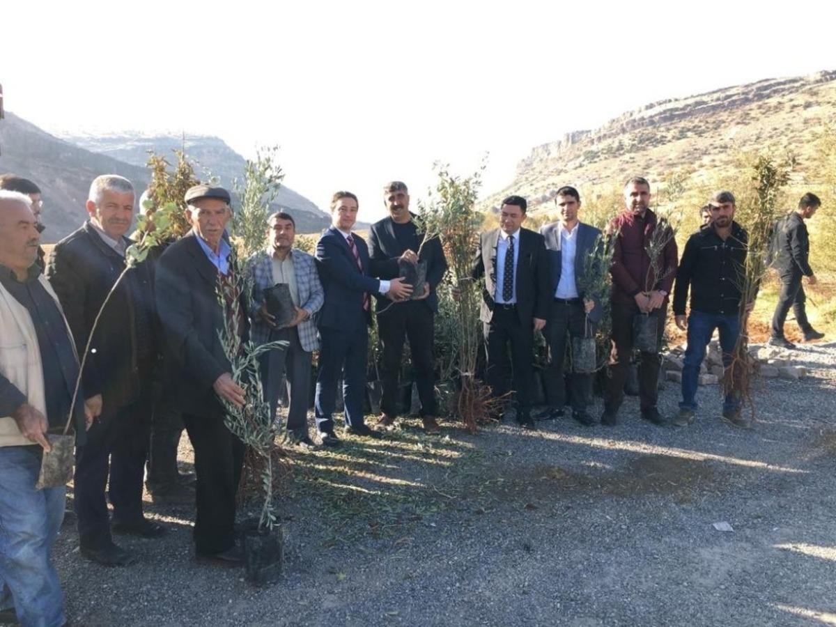 Hazro&rsquo;da &ccedil;ift&ccedil;ilere 14 bin meyve fidanı dağıtıldı