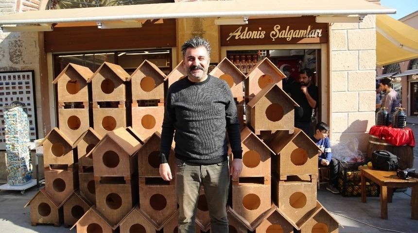 Sokak kedileri i&ccedil;in 100 kedi evi