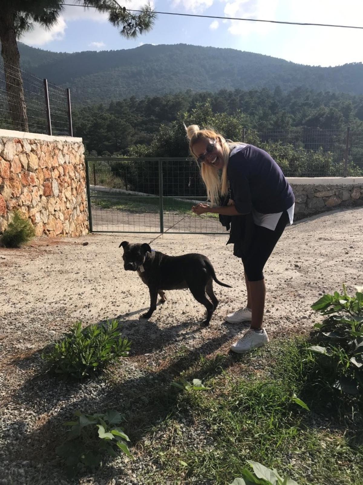 &Uuml;nl&uuml; m&uuml;zisyen Ay&ccedil;a Tekindor, hayvanseverlere seslendi; "Artık birleşip, baş kaldıralım"