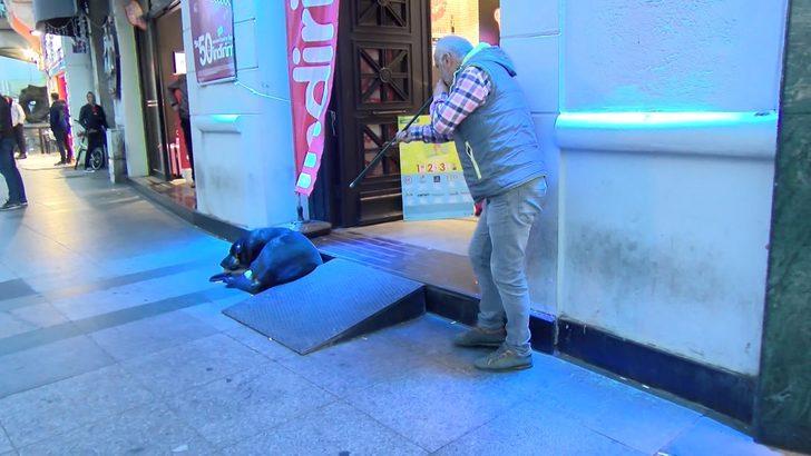 Taksim'de aynı köpek yine ısırdı G2