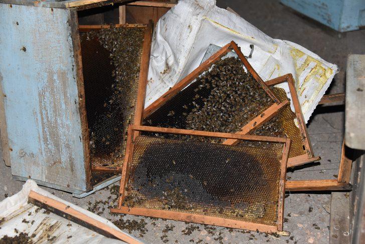 Arı kovanı yüklü kamyonet kaza yaptı! Herkes seferber oldu G4