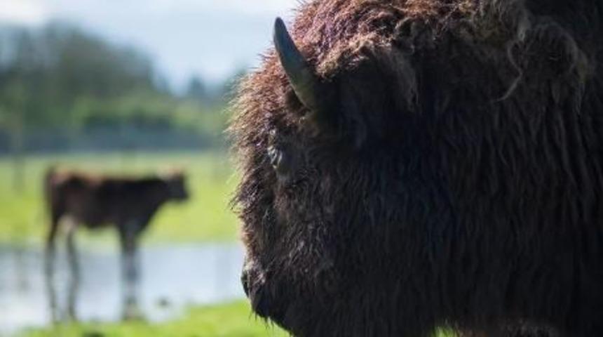 Otostop &ccedil;ekmek g&uuml;venli midir?