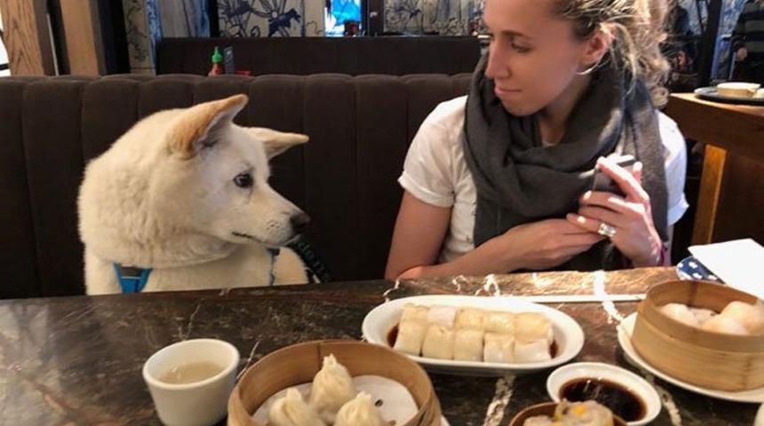 İnternetten otel rezervasyonu nasıl yapılır?