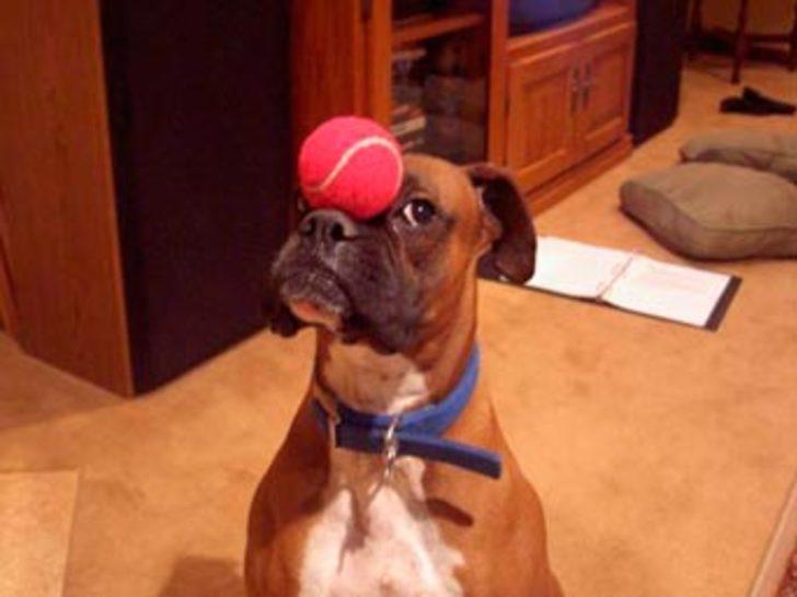 Yine Berrak'la görüntülendi G1