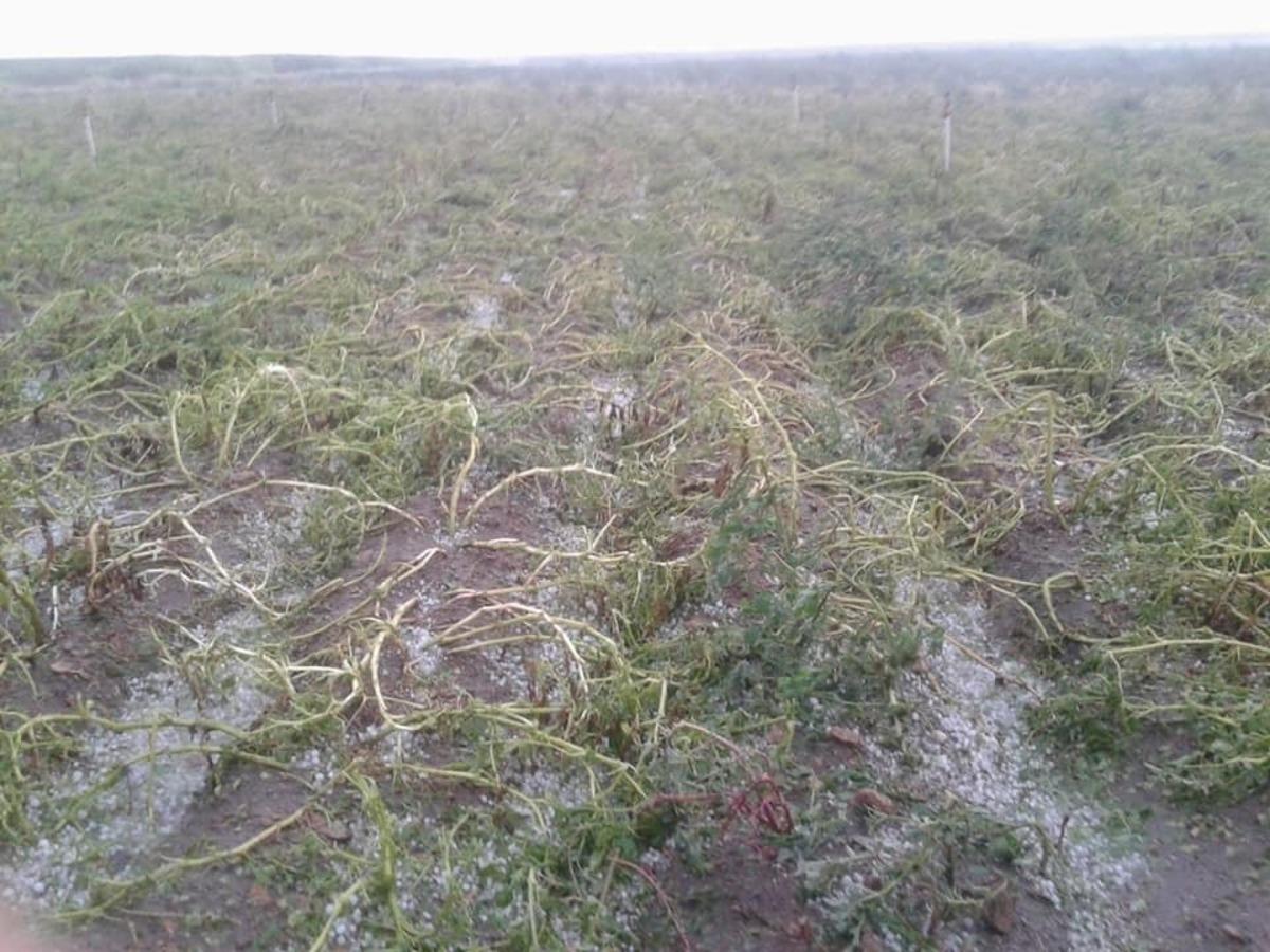 Niğde &ccedil;ift&ccedil;isi bor&ccedil; erteleme istiyor